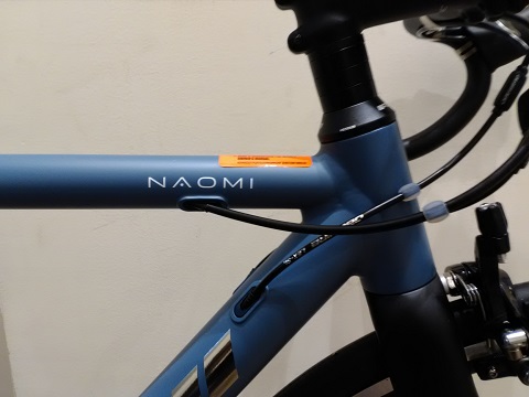 naomi2_20180413