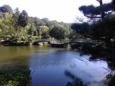 yakusi4